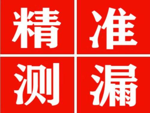 大通精准定位查漏水一次收费多少钱？