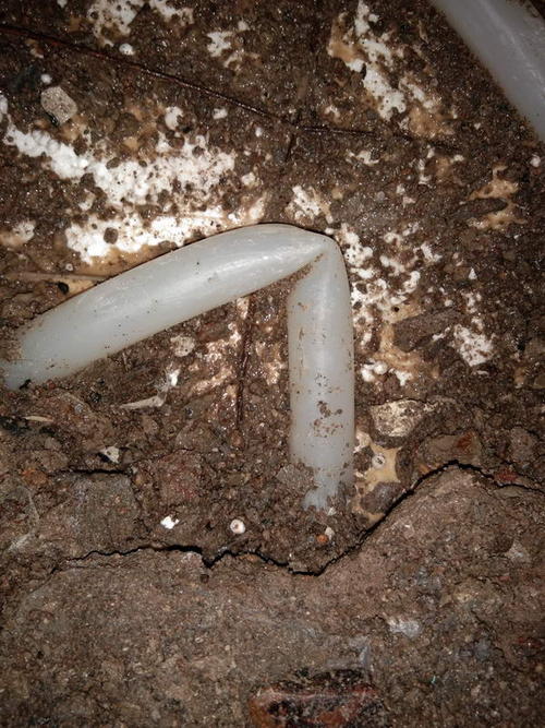 大通堵点精准查找